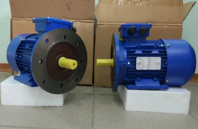 Электродвигатель АИР63B2 IM-1081 0,55 кВт 3000 об/мин (МЭЗ)
