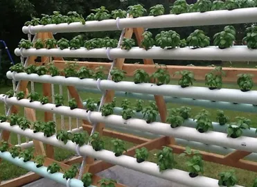 Гидропонные установки для выращивания ягод#1