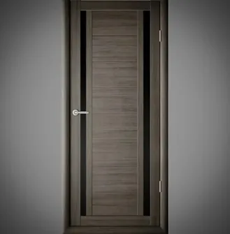 Дверь Рига#2