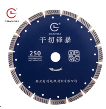Отрезной диск сигментный с рабочей частью из стали для резки гранита Φ 250 mm- 25.4 mm х2,6х12#1