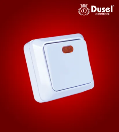 Выключатель с индикатором Dusel 1 DU-30#1