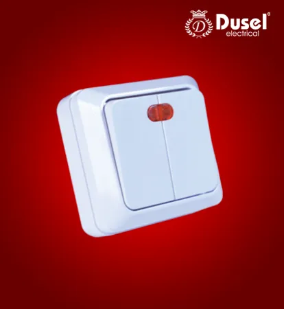 Выключатель с индикатором Dusel 2 DU-31#1