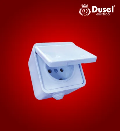 Розетка герметичная с заземлением и крышкой Dusel 1 DU-55#1