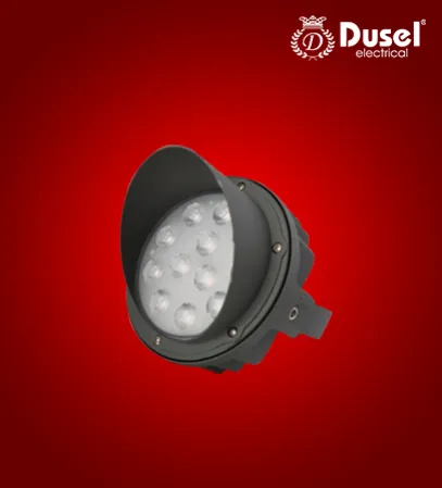 Фасадные прожекторы Dusel FP5#1