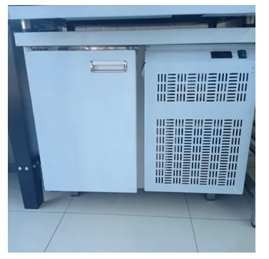 Стол холодильный среднетемпературный
 ПищТех СХЭП-10/7 (960х700х840(880)
мм; объем160 л.;
220 В; -2...+10 °С)#1