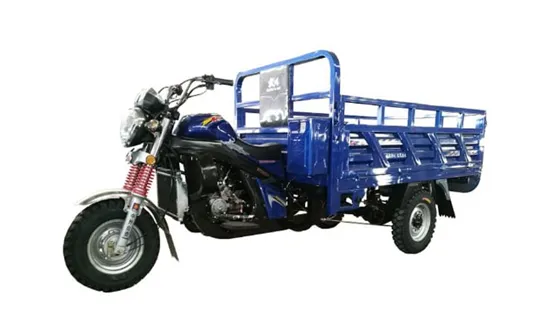 Трехколесный грузовой мотоцикл 250 СС #1