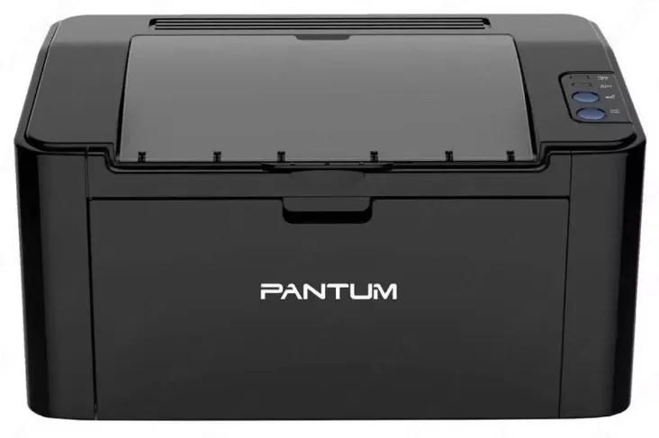 Принтер Pantum А4 P2516#1