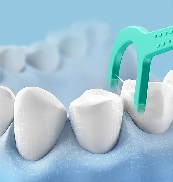 Зубная ныть-зубочистка Dr.Bei Dental Cleaning Floss Stick#1