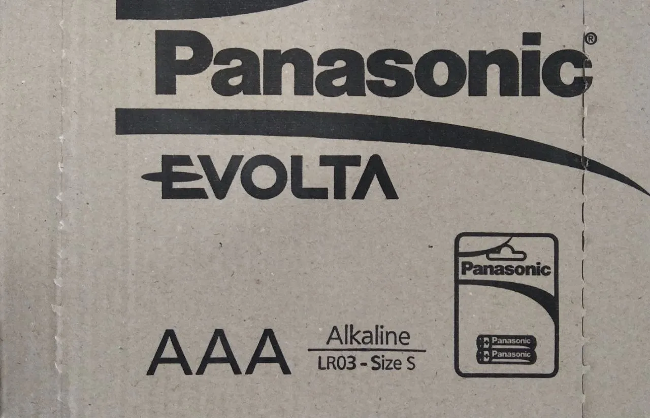 Щелочные батарейки Panasonic Evolta (AAA) LR03EGE/2BP  2 x 12=24#2