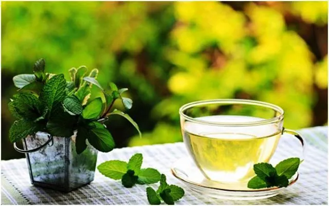 Зеленый чай с перечной мятой (антиоксидант) Vivasan, Швейцария#2