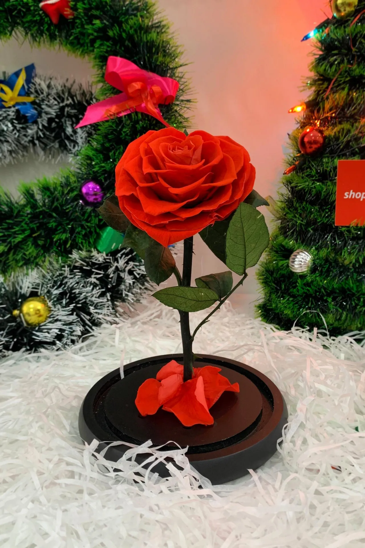 Подарочный набор - роза в колбе, серебряное ожерелье роза, зеркало n0230 SHK Gift#4