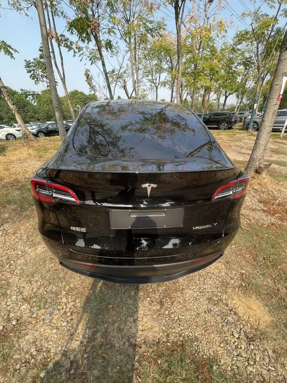 Электромобиль Tesla Model Y 660km#3
