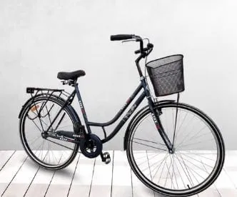 Велосипед Azxx Maestro, с багажом и корзиной, 28 дюймов#1