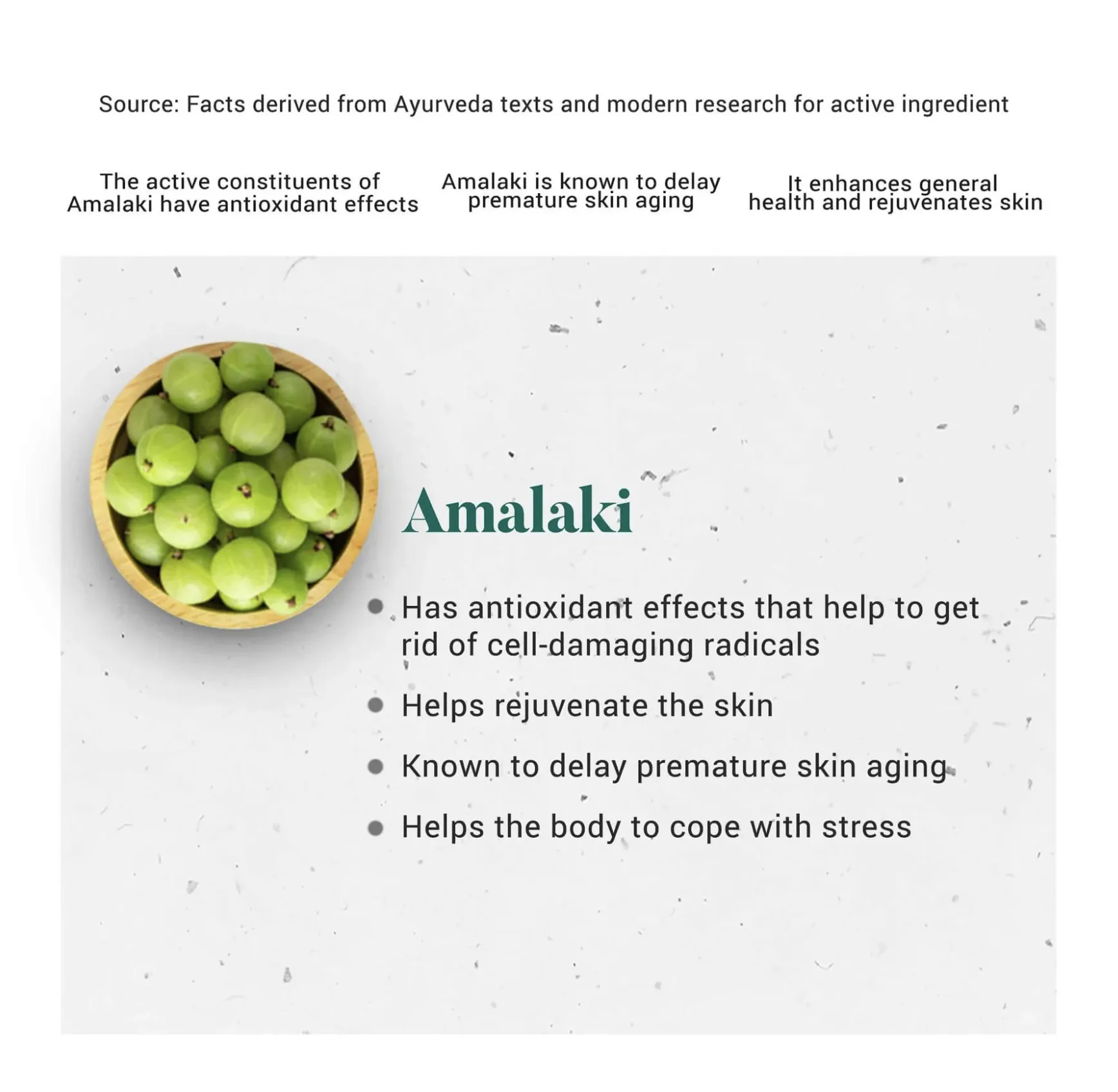 Антиоксидант Amalaki Himalaya Herbals#3