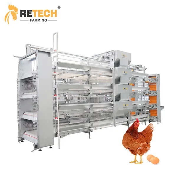 Автоматическое оборудование для выращивания цыплят на птицефабрике, клетки для несушек#2