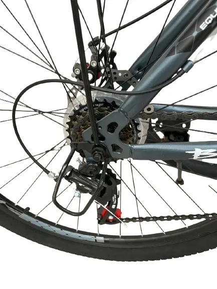 Велосипед baol 29 дюймов  алюминиевая рама с электронным термосом#4
