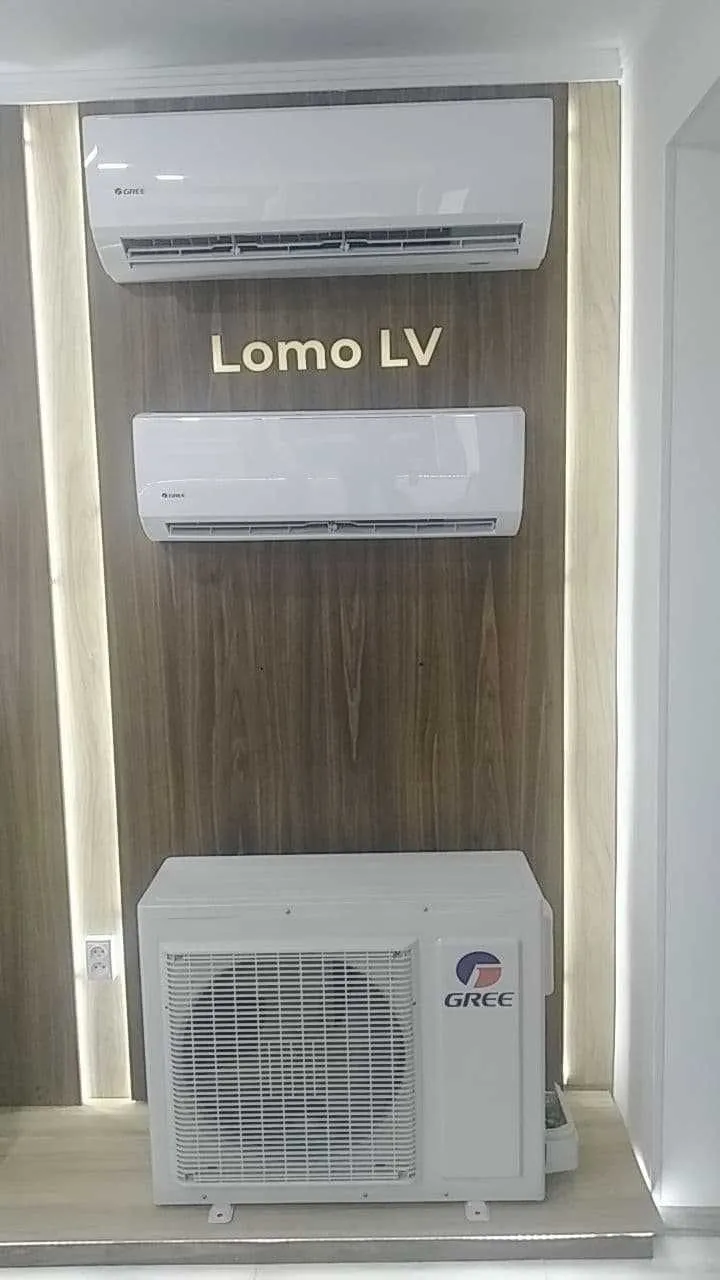 Кондиционер Gree Lomo 18 Low voltage#4