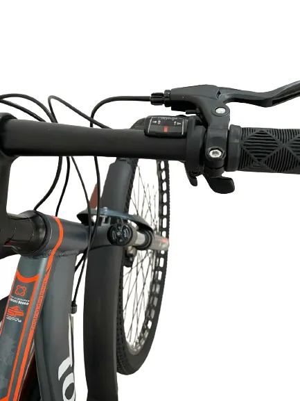 Велосипед Baol 29 дюймов  алюминиевая рама с  электронным термосом#2