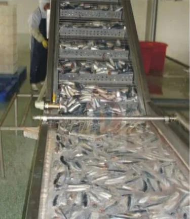 Производственная линия обработки Рыбных Консервов#2