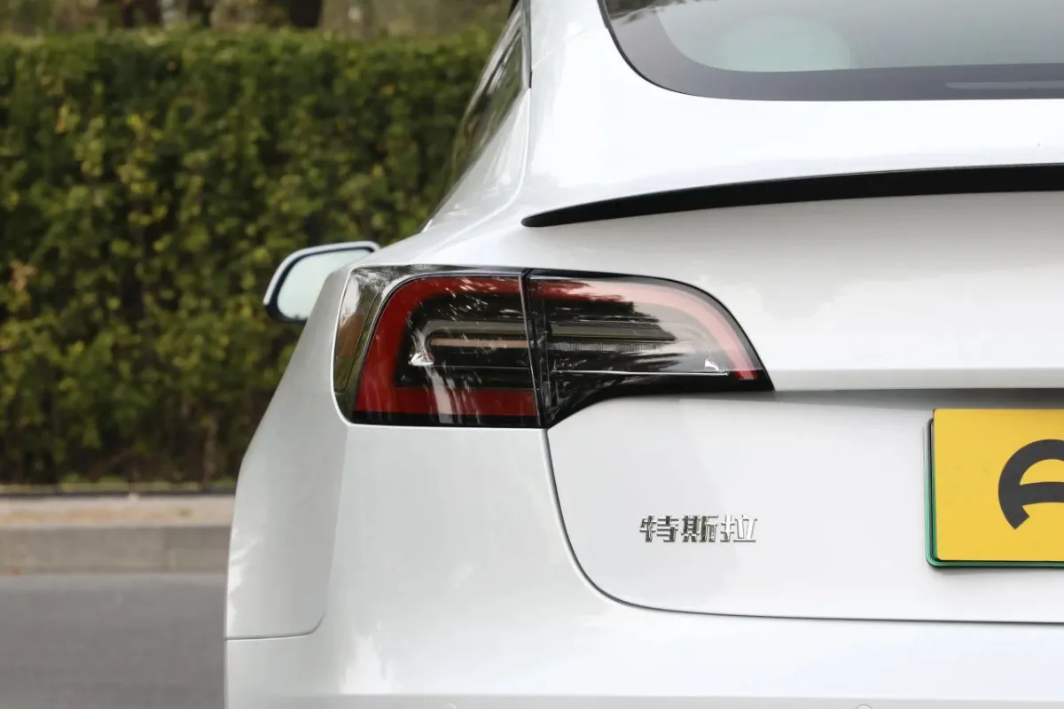 Elektr avtomobil Tesla Model 3 Standart#9