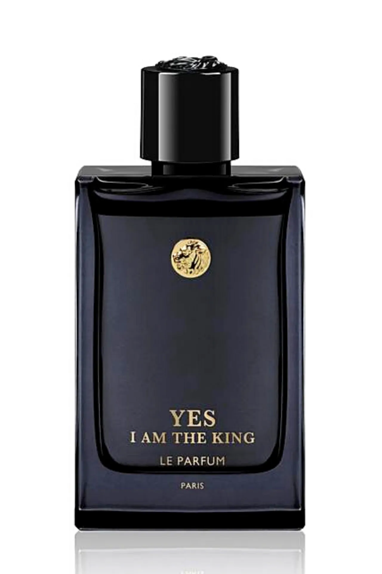 Парфюм для мужчин, Geparlys, YES I AM THE KING Le Parfum, 100 мл#2