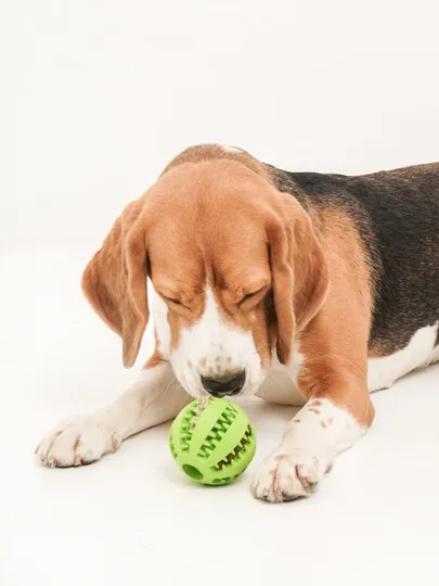 Мяч зубочистка - жевательная игрушка кормушка для собак и кошек, для чистки зубов#1