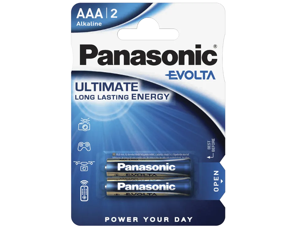 Щелочные батарейки Panasonic Evolta (AAA) LR03EGE/2BP  2 x 12=24#1