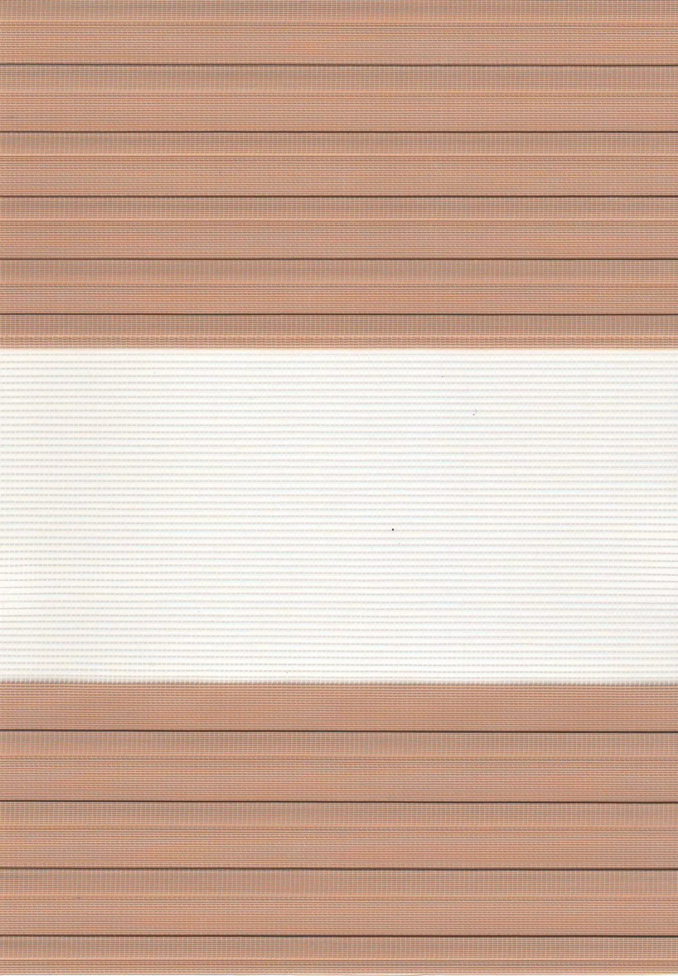 Рулонные шторы Мини S3612#1