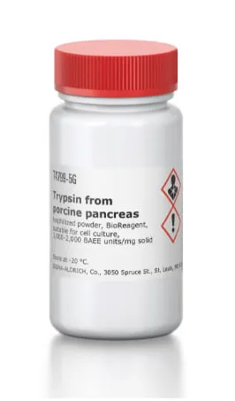 T4799-10X5G Трипсин из поджелудочной железы свиньи, лиофилизированный порошок, биореагент#1