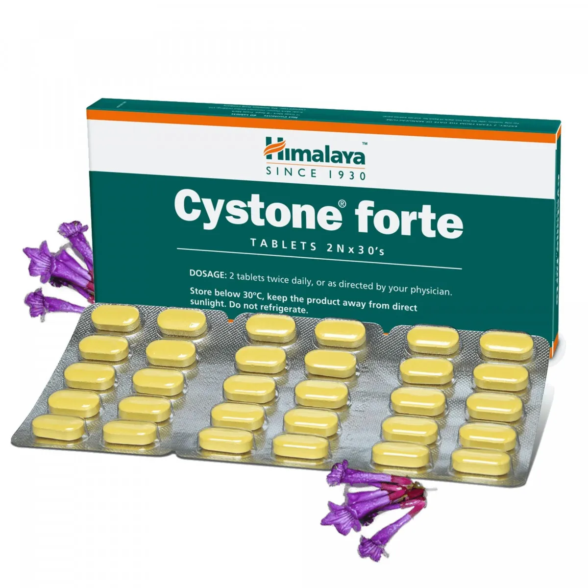 Таблетки Cystone forte, 60 г, 60 шт.#1