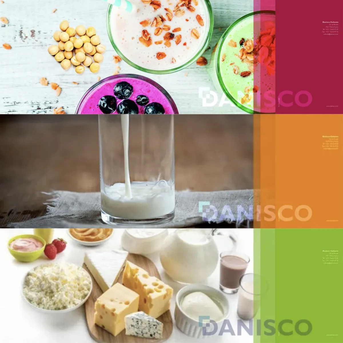 Закваски Даниско в ассортименте для молочных и сыр продуктов#1