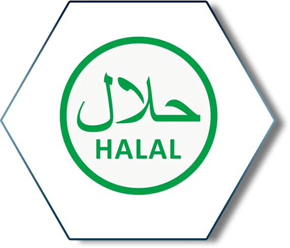 Разработка и внедрение Halal#1