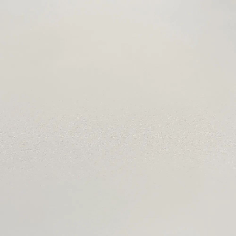 МДФ Evogloss Матовый Светло-серый 18x1220x2800#1