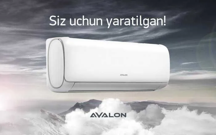 Кондиционер Avalon 12 Inverter#1