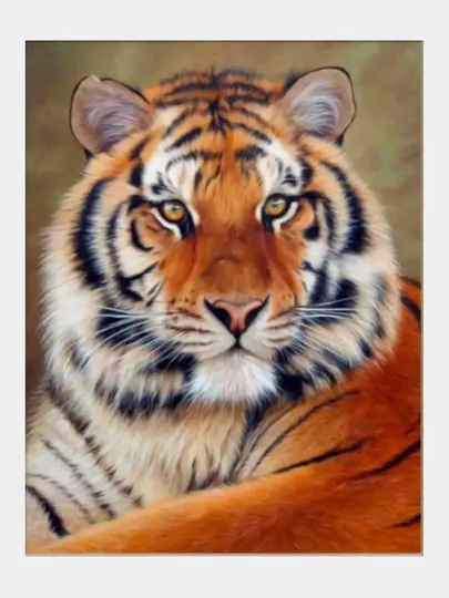 Алмазная мозаика "Тигр", без подрамника, 30 х 40 см#1