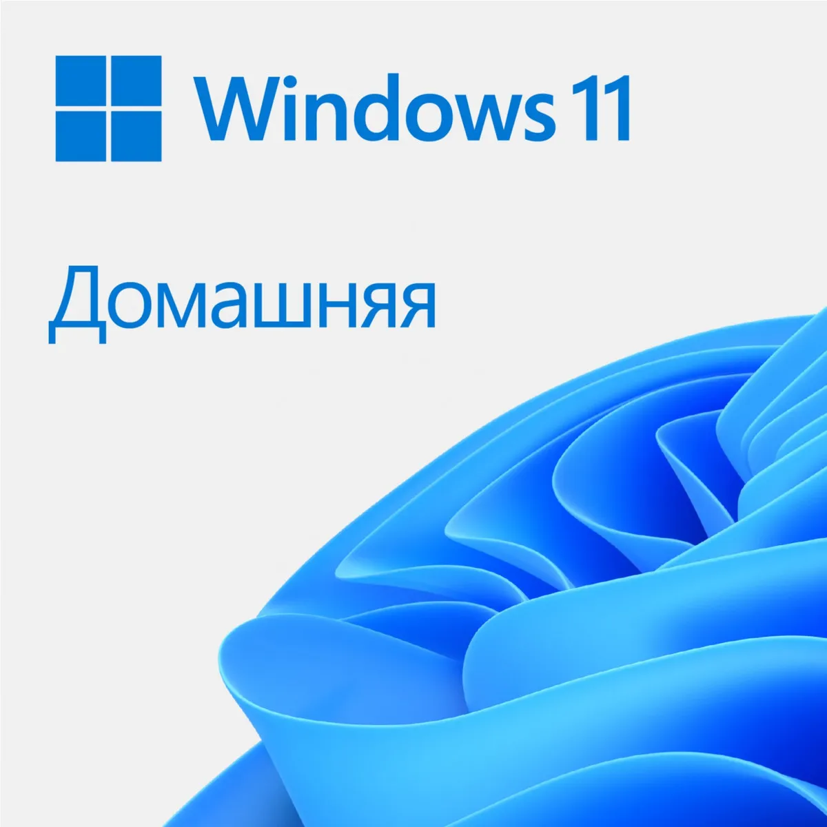 Windows 11 Домашняя#1