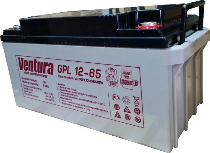 Аккумуляторная батарея Ventura GPL 12-65#1