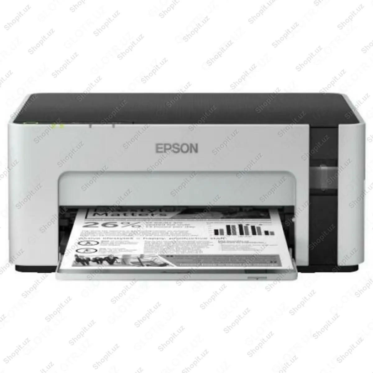 Принтер - EPSON M1120#1