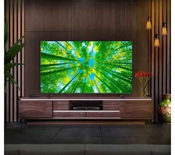 Телевизор LG 65" 4K LED Smart TV Wi-Fi#1