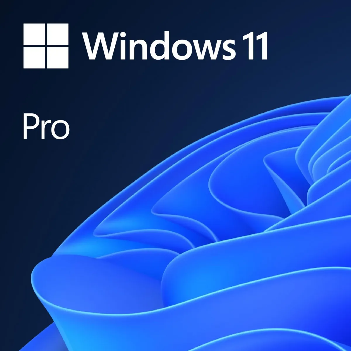 Windows 11 Pro#1