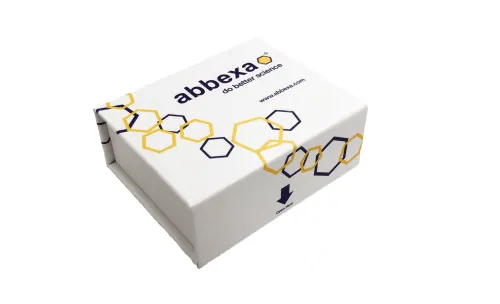 Ферменты для диагностики и исследований Abbexa#1