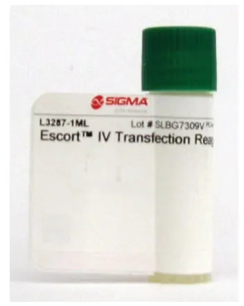 L3287-1ML Реагент для трансфекции Escort ™ IV, липидный реагент для временной и стабильной трансфекции клеток млекопитающих и насекомых, 1 мл#1