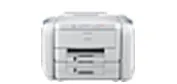 Принтер Epson WorkForce Pro WF-R5190DTW (RIPS)#1