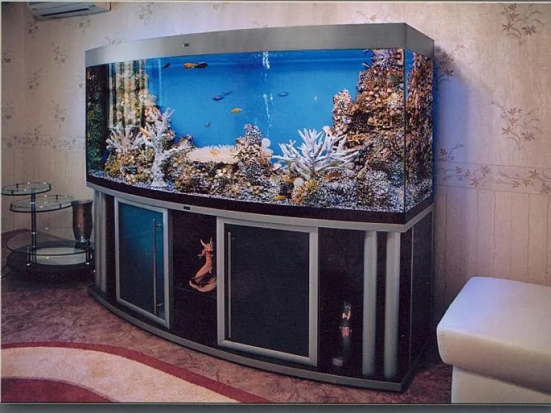 Стеклянные аквариумы#30