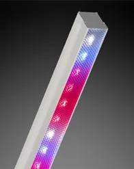 Светодиодная фитолампа LED СКУ01 “Fito” 50w#1