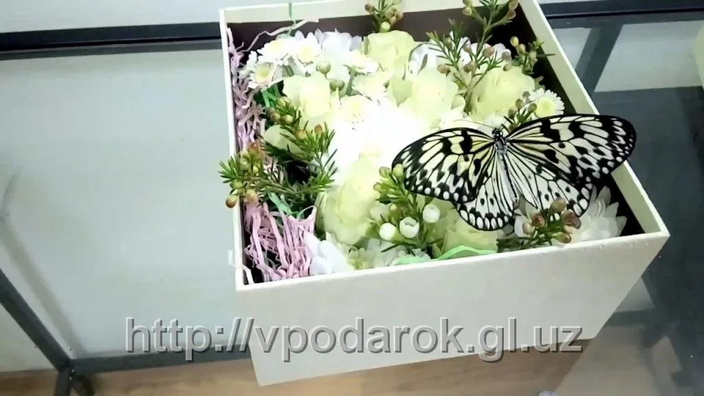 Тропическая бабочка в коробочке#2