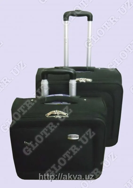 Набор дорожных чемоданов SF-2046 IT/2 NON STOP#1