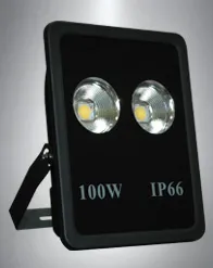 Светодиодный светильник LED СКУ01 “Projector” 100w#1