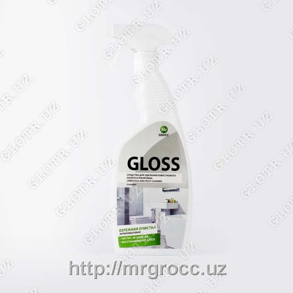 GLOSS для очистки ванн и туалетов (600 гр)#1