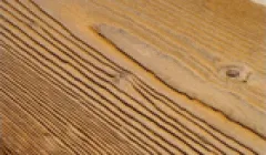 Станок для искусственного старения древесины R 2-600, R 2-1200#3